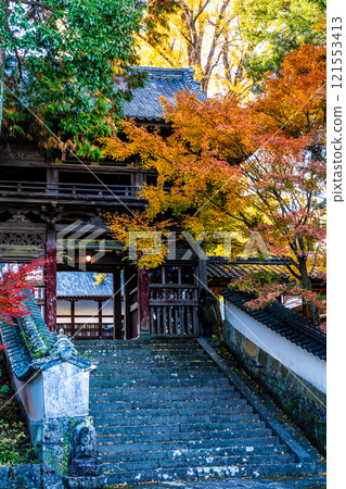 Autumn leaves at Tenyuji Temple [Isahaya City, Nagasaki Prefecture] 121553413