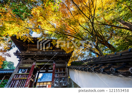 Autumn leaves at Tenyuji Temple [Isahaya City, Nagasaki Prefecture] 121553458