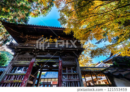 Autumn leaves at Tenyuji Temple [Isahaya City, Nagasaki Prefecture] 121553459