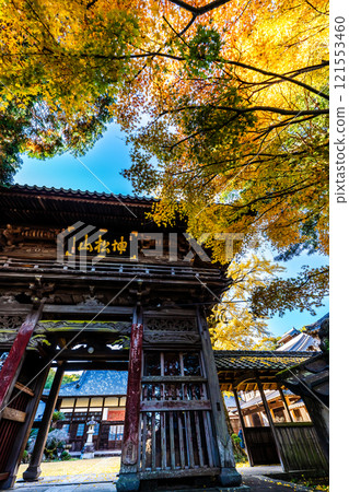 Autumn leaves at Tenyuji Temple [Isahaya City, Nagasaki Prefecture] 121553460