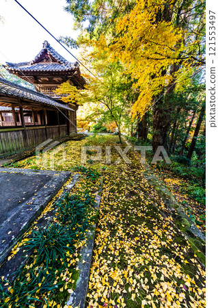 天佑寺的紅葉【長崎縣諫早市】 121553497