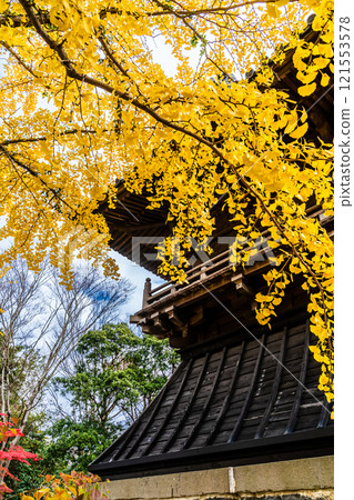 安勝寺的紅葉【長崎縣諫早市】 121553578