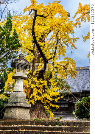 安勝寺的紅葉【長崎縣諫早市】 安勝寺的紅葉【長崎縣諫早市】 121553579