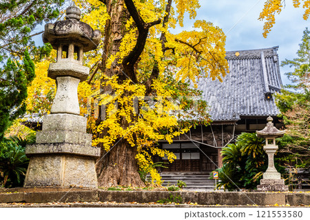 安勝寺的紅葉【長崎縣諫早市】 安勝寺的紅葉【長崎縣諫早市】 121553580