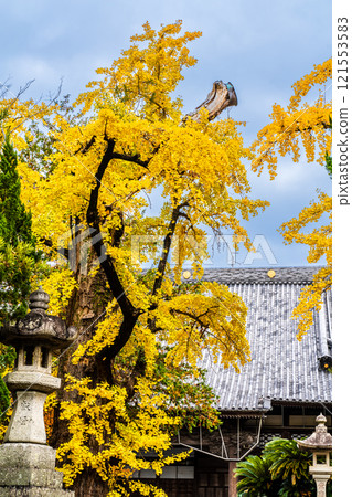 安勝寺的紅葉【長崎縣諫早市】 121553583