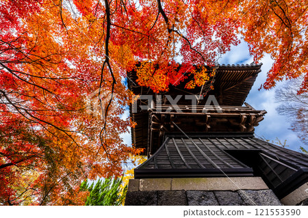 Autumn leaves at Anshoji Temple [Isahaya City, Nagasaki Prefecture] 121553590