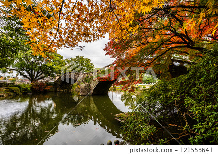 Autumn leaves at Meganebashi Bridge in Isahaya Park [Isahaya City, Nagasaki Prefecture] 121553641