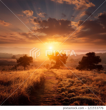 sunrise, dawn, daybreak, sunup, aurora, horizon, light, morning, glow, sky, east, radiance, warmth, first light, early hours, horizon line, brightness, twilight, morning rays, golden hour 121553776