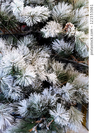 Christmas tree covered with hoarfrost and pine cones. Christmas tree covered with hoarfrost and pine cones. 121553861