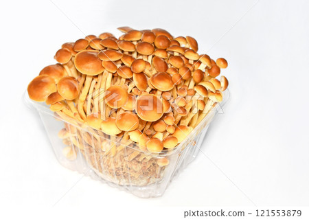 Mushrooms (Okinokitake) Mushrooms (Okinokitake) 121553879