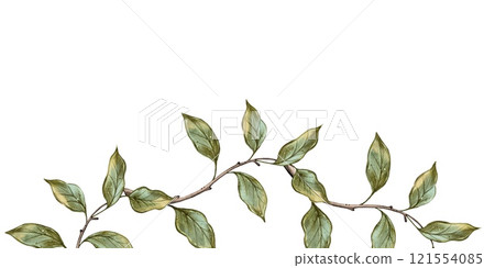 Banner, postcard Watercolor Green Leaves 121554085
