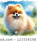 博美犬看著春天 121554198