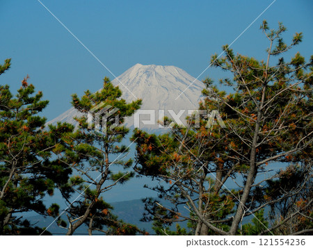 Mount Fuji as seen from Senbonmatsubara, Numazu City, Shizuoka Prefecture 121554236