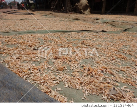[Cambodia] Small shrimp (Tonle Sap) drying on the roadside 121554464