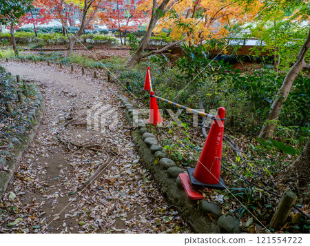 由於天氣等原因，在公園內的危險地點設置了禁止侵入的圍欄。 121554722