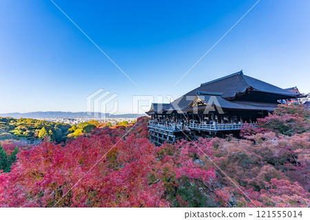 Kiyomizu Temple and autumn leaves in Kyoto 121555014