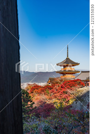 Kiyomizu Temple and autumn leaves in Kyoto Kiyomizu Temple and autumn leaves in Kyoto 121555030