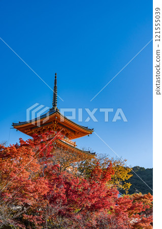 Kiyomizu Temple and autumn leaves in Kyoto Kiyomizu Temple and autumn leaves in Kyoto 121555039
