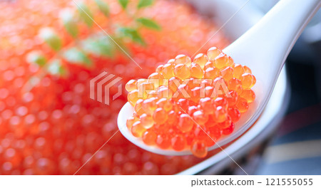 鮭魚子盛在盤子裡 121555055