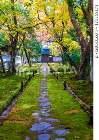 Autumn foliage in the Japanese garden at Saihoji Temple, a moss temple in Kyoto 121555171