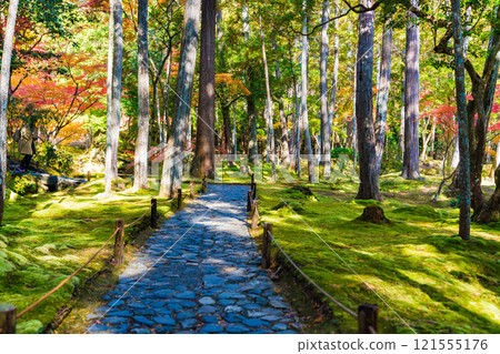 西芳寺秋葉日本花園，京都的一座苔蘚寺廟 121555176