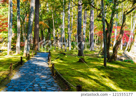 西芳寺秋葉日本花園，京都的一座苔蘚寺廟 121555177