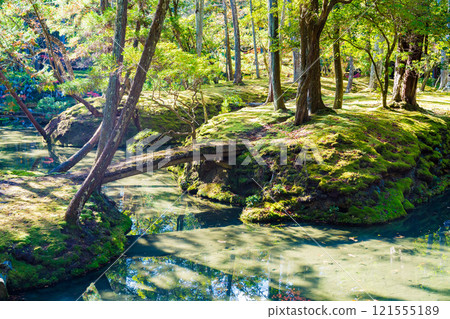 Autumn foliage in the Japanese garden at Saihoji Temple, a moss temple in Kyoto 121555189