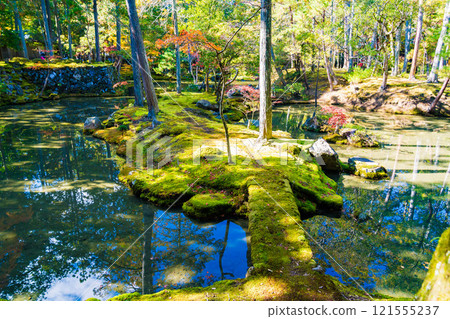 Autumn foliage in the Japanese garden at Saihoji Temple, a moss temple in Kyoto Autumn foliage in the Japanese garden at Saihoji Temple, a moss temple in Kyoto 121555237