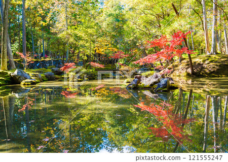 西芳寺秋葉日本花園，京都的一座苔蘚寺廟 121555247