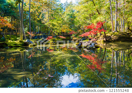 西芳寺秋葉日本花園，京都的一座苔蘚寺廟 121555248