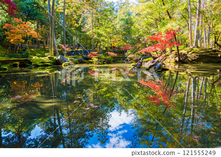 西芳寺秋葉日本花園，京都的一座苔蘚寺廟 121555249