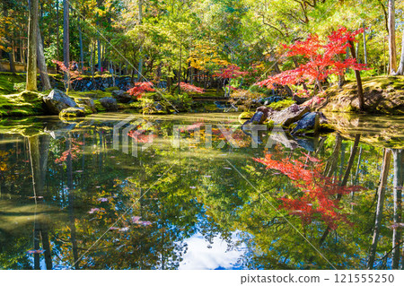 Autumn foliage in the Japanese garden at Saihoji Temple, a moss temple in Kyoto 121555250