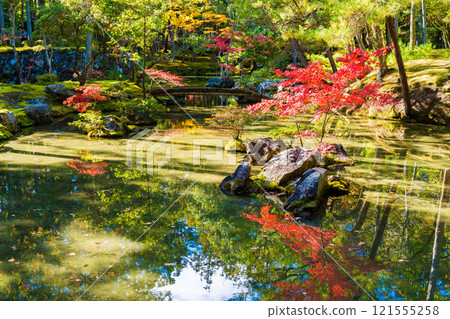 Autumn foliage in the Japanese garden at Saihoji Temple, a moss temple in Kyoto 121555258