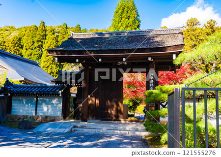 Kyoto's Moss Temple, Saihoji Temple and Autumn Leaves 121555276