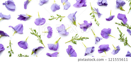 Scattered purple petals and fresh green leaves, floral design, nature inspired, botanical elements, white backdrop, vibrant and colorful, springtime, decorative pattern 121555611