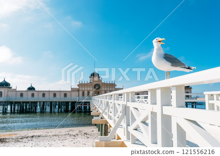 Seagulls on the pier railing and seaside architecture 121556216
