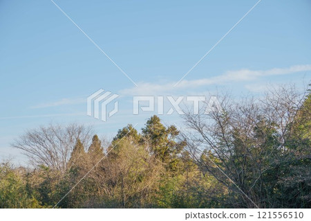Blue sky 121556510