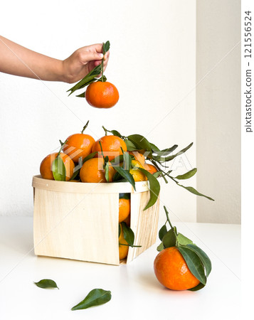 Hand picking fresh tangerines from a wooden basket on white background 121556524