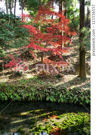 Shirakawa water source 121556557