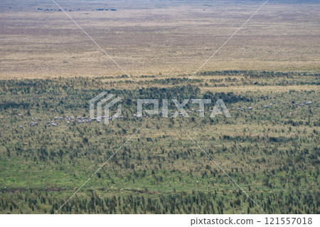 View of the Ngorongoro Conservation Area in Tanzania 121557018