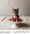 Cute kitten with fresh strawberries on a plate 121557275