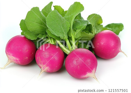 Freshly picked radishes with vibrant green leaves on white background 121557501