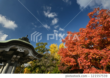 Osaka Toyokuni Shrine in autumn 121557539