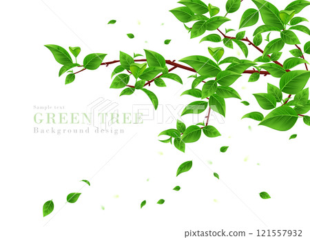 綠葉從新鮮的綠樹枝上翩翩起舞的背景寫實插畫 | 春夏風景 121557932