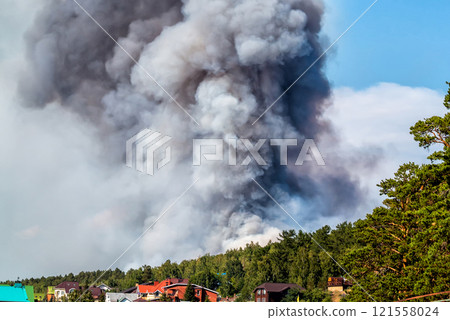 Large forest fire near the village 121558024