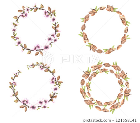 Almond nuts and spring tree blooming branch with leaves and flowers wreaths set. Botanical circle frame. Watercolor illustration hand drawn. template for food, cosmetic label Isolated from background  121558141