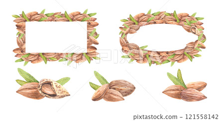 Almond nuts with leaves. Rectangular frame, banner, template set. Closeup Pile of peeled kernel. Watercolor hand drawn illustration. Vegan stone fruit, food, snack label, menu on isolated background 121558142