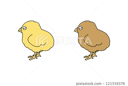 可愛的不同顏色的小雞 可愛的不同顏色的小雞 121558376