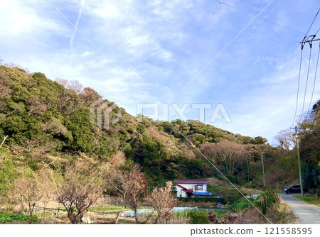 鄉村景觀,有山老房子 鄉村景觀,有山老房子 121558595