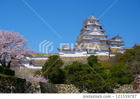 View of the main tower of Himeji Castle against the blue sky from the ruins of the Kisaimon Gate, Ver1 View of the main tower of Himeji Castle against the blue sky from the ruins of the Kisaimon Gate, Ver1 121559787